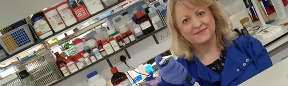 Overwriting blood vessel identity to prevent graft failure