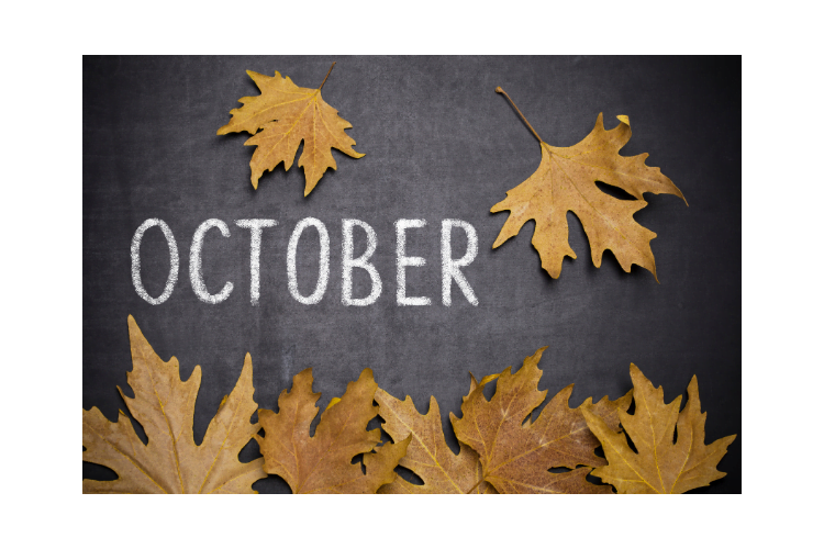 Sober October: What a month of no drinking can do for your health