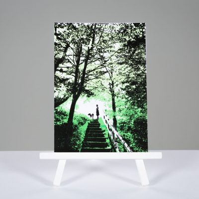 Lot No 280 - Woodland Walks