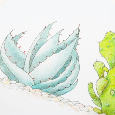 Lot No 339 - A prickly subject (close up 1)