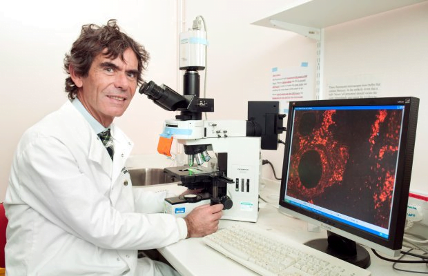 Building new blood vessels to treat babies with structural defects of the heart