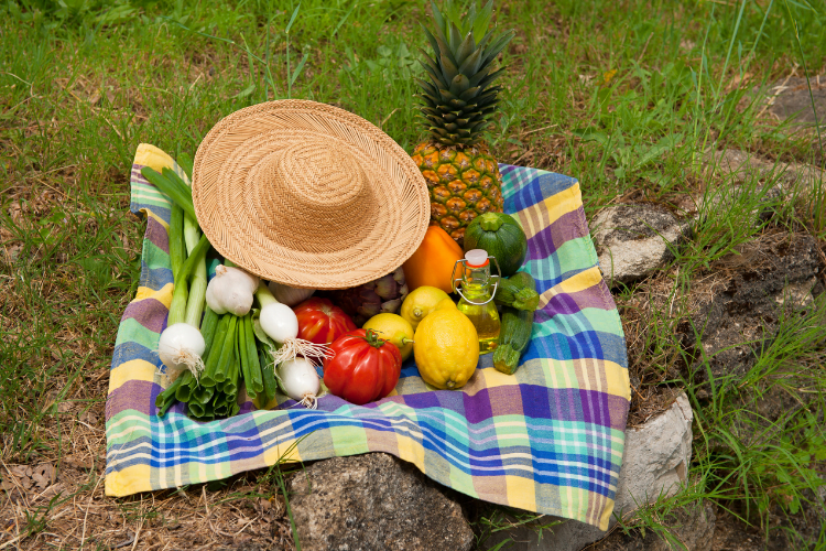 Healthy Tip: Vegetarian picnics