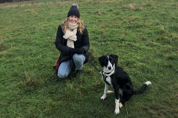 Dog walking 1
