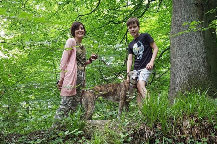 Dog walking 3