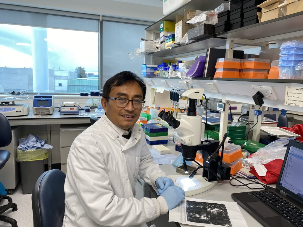 New treatments to prevent adverse cardiac remodelling