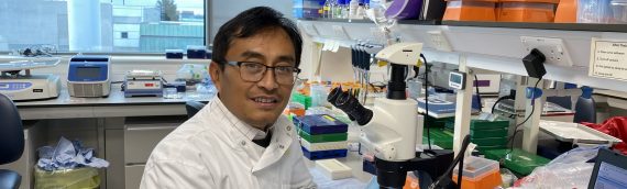 New treatments to prevent adverse cardiac remodelling