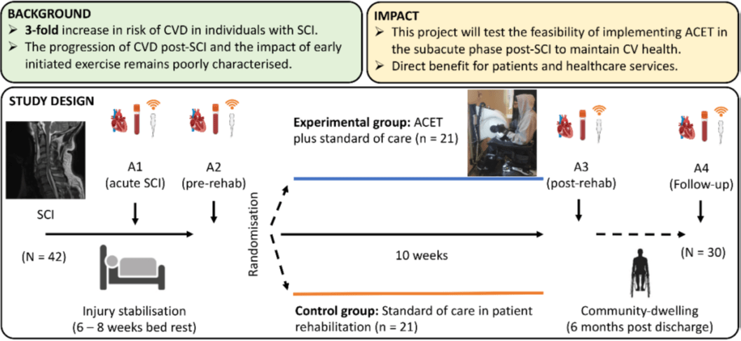 Dr Tom Nightingale 2021 2 Cardiovascular health following spinal cord injury: the impact of an early exercise intervention - Tom Nightingale project diagram