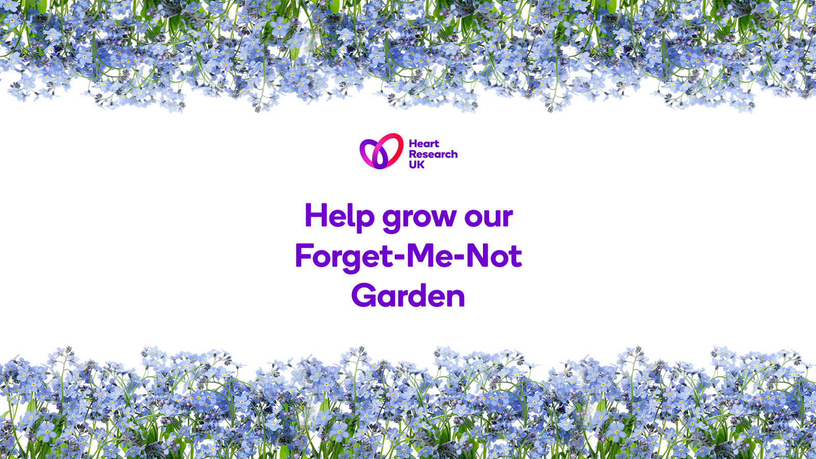 Forget-Me-Not-Garden-Webpage-Header-1600x900px Forget-me-not garden webpage header with forget-me-not flower garden