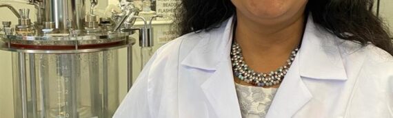 Testing a new cardiac patch for the repair of the heart after a heart attack