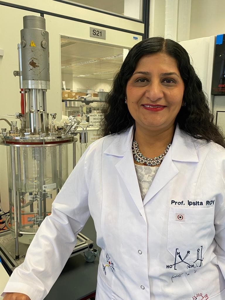 Testing a new cardiac patch for the repair of the heart after a heart attack