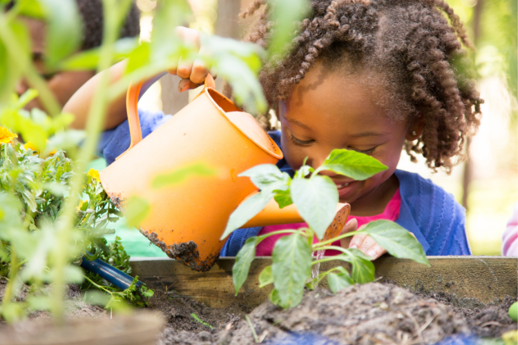 Gardening 3 child watering plant in garden