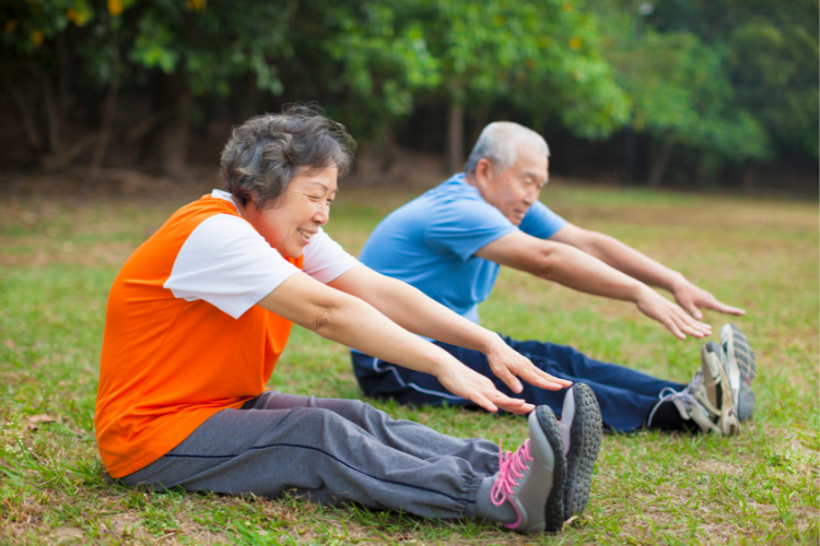 Elderly couple stretching in a park