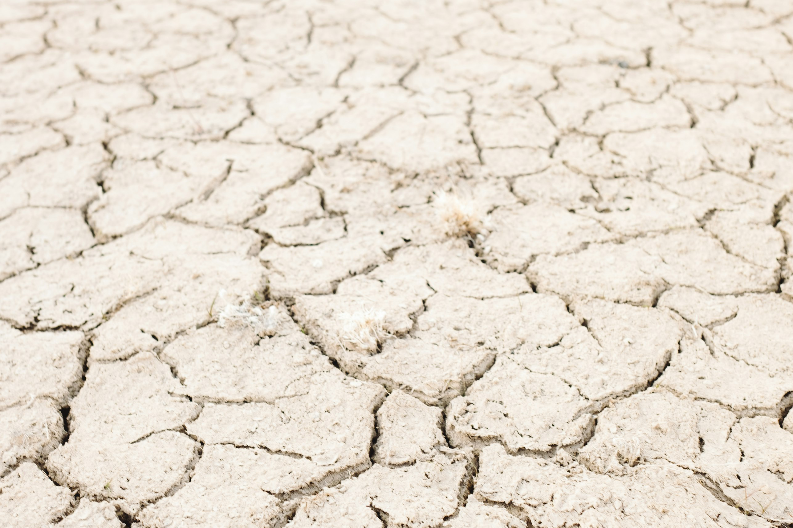 Hydration and heart health pic 3 cracked ground