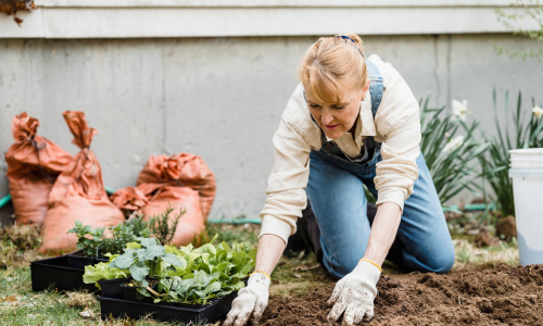 gardening woman gardening