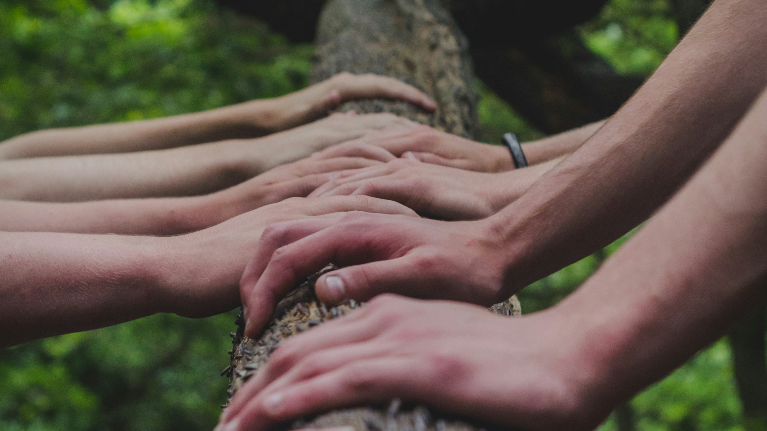 Pic 2 Multiple hands resting on a tree trunk