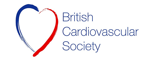 BCS LOGO BCS LOGO