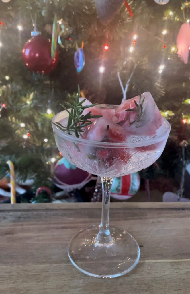 Fruit & Herb Ice Cubes in a cocktail glass