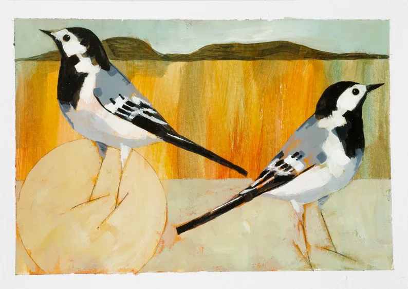 Lot No 131 Pied Wagtails flat