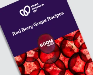 Boombites Cookbook cover